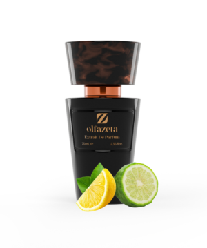 Chogan № 113 Your Journey – Zitrisch, Aromatisch