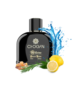 Chogan № 021 Aqua Sol For Him – Frisch & Sportlich