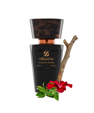 Chogan № 066 Rock Soul – Holzig, Würzig