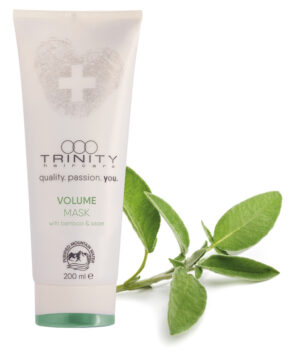 TRINITY Volume Mask